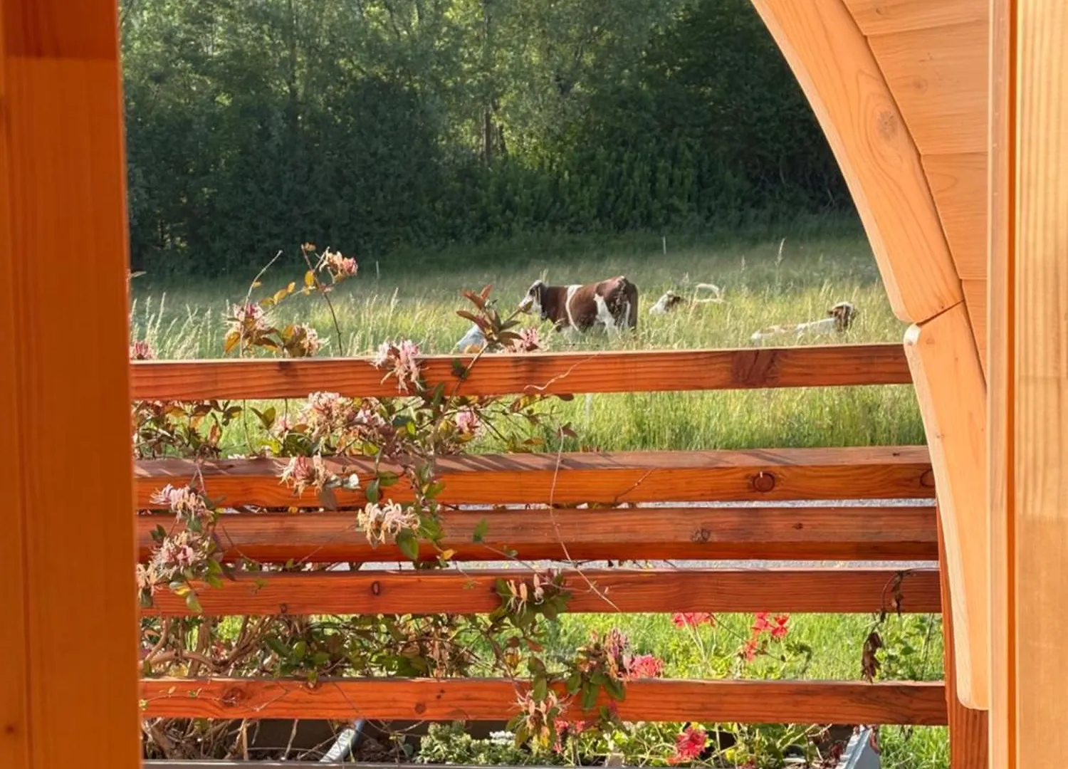 Ceuese Lodges & Spa Sigoyer  0*, Sigoyer (Hautes-Alpes)